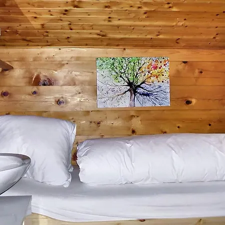 Taubenhaus Og Appartement Fiesch