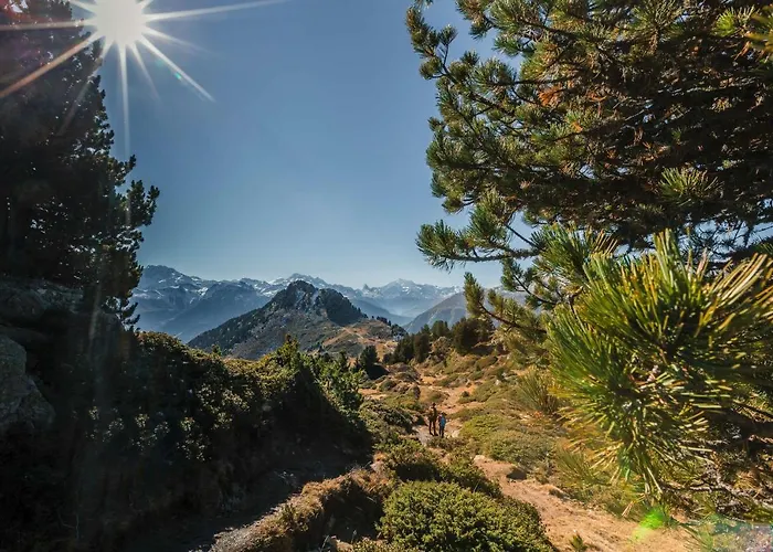 Apartment Taubenhaus Og Fiesch