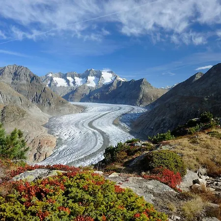 Taubenhaus Og Apartment *